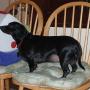 Judy Britt Photo 14