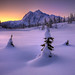 Lucky Winters Photo 1