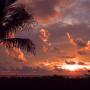 Carol Childers Photo 23