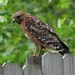 Carolyn Hunt Photo 17