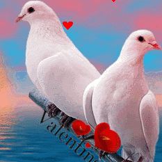 Ameen Syed Photo 17