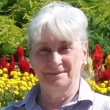 Diane Townsend Photo 28