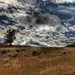 Mary Geyer Photo 18