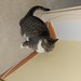 Anne Scofield Photo 15