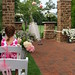 Terri Camp Photo 29