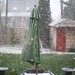 Stacey Snow Photo 20