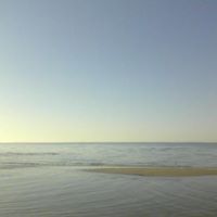 Sarah Willman Photo 5
