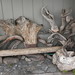 Cathryn Martin Photo 14