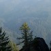 Dennis Maxfield Photo 14
