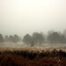 Ada Meadows Photo 3