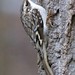 Jerry Downs Photo 4