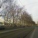 Joseph Lyon Photo 18