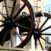 Ashton Cannon Photo 6