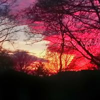 Joanne Miller Photo 10