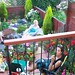 Christine Karl Photo 25