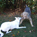 Heidi Moses Photo 12