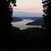 Warren Morrison Photo 26