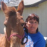 Julie Springer Photo 20