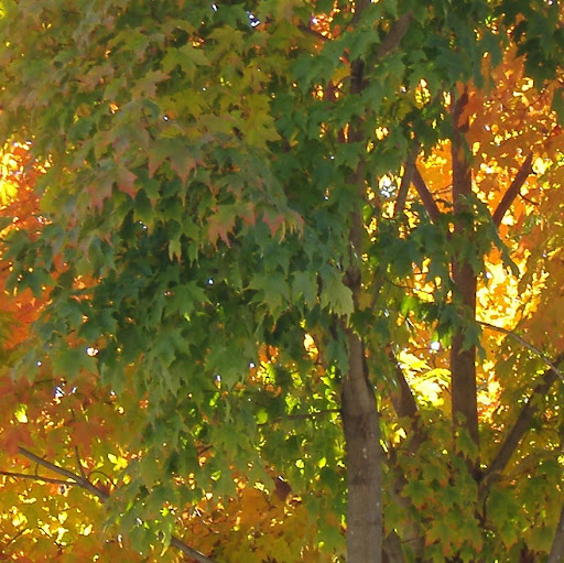 Christine Lassen Photo 10
