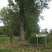 Alden Lang Photo 7