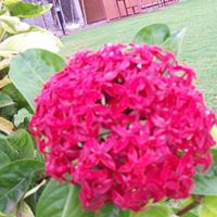 Rajesh Elangovan Photo 12