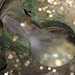 Mary Spring Photo 15