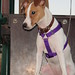 Jack Peyton Photo 8