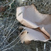 Anthony Grech Photo 10
