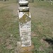 Mark Edington Photo 12
