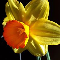 Debra Becker Photo 18