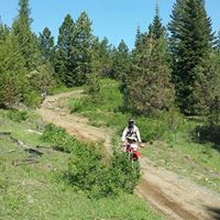 Shaun Mcclintock Photo 10
