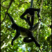 Ricardo Maya Photo 10