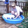 Janice Sullivan Photo 24