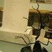 Cynthia Crain Photo 11