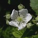 Kenneth Giles Photo 31