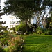 Jennifer Elks Photo 6