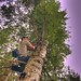 Alan Trees Photo 9