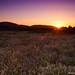 Mark Summers Photo 15