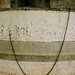 Joseph Colvin Photo 36