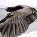 Diego Garcia Photo 41