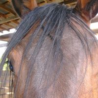 Alice Grove Photo 25