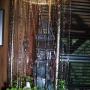 Debra Daniel Photo 24