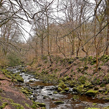 Phil Sharp Photo 12