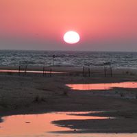 Janet Egger Photo 4
