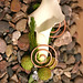Jacqueline Copper Photo 8