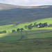 Stewart Fielding Photo 7