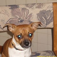 Frank Austin Photo 31