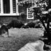 Christian Churchill Photo 12