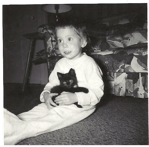 Nancy Roche Photo 20