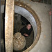 Sherri Davis Photo 14